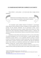 Subsidiarumo principo realizavimas viešajame administravime 12 puslapis