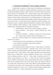 Tarptautinis Baudžiamasis teismas 3 puslapis