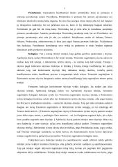 Tarptautinis Baudžiamasis teismas 5 puslapis