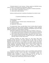 Tarptautinio baudžiamojo teismo steigimas, struktūra bei jurisdikcija 13 puslapis