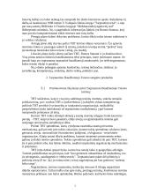 Tarptautinio baudžiamojo teismo steigimas, struktūra bei jurisdikcija 3 puslapis