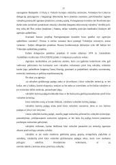 Tarptautinis baudžiamasis teismas ir Jungtinės Amerikos Valstijos (JAV) 17 puslapis