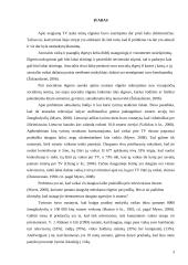 Televizijoje demonstruojamo smurto įtaka vaikų elgesiui 3 puslapis