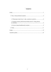 Tėvų ir vaikų santykiai pagal Lietuvos Statutus 2 puslapis