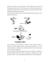 Transgeninės pelės ir jų panaudojimas 3 puslapis