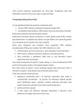 Transgeninės pelės ir jų panaudojimas 4 puslapis