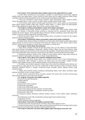 Turto panaudojimo teisė 12 puslapis