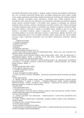 Turto panaudojimo teisė 4 puslapis