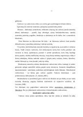 Vadovavimo sąvoka bei vadovas 11 puslapis