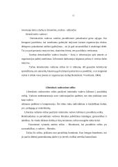 Vadovavimo sąvoka bei vadovas 13 puslapis