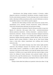 Vadovavimo sąvoka bei vadovas 16 puslapis