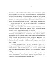 Vadovavimo sąvoka bei vadovas 17 puslapis