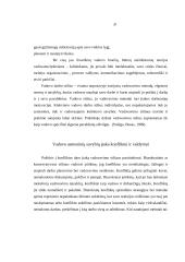 Vadovavimo sąvoka bei vadovas 20 puslapis