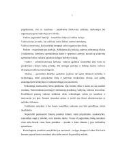 Vadovavimo sąvoka bei vadovas 3 puslapis