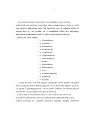 Vadovavimo sąvoka bei vadovas 4 puslapis