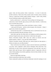 Vadovavimo sąvoka bei vadovas 6 puslapis