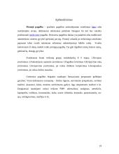 Vaistai, naudojami greitojoje medicininėje pagalboje 18 puslapis