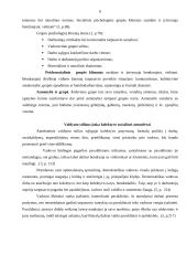 Valdymo stiliaus įtaka grupės socialiniam klimatui 6 puslapis
