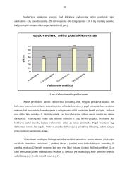 Valdymo stiliaus įtaka grupės socialiniam klimatui 10 puslapis