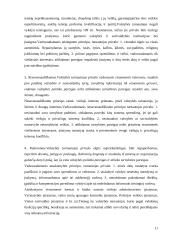 Valstybės tarnybos samprata, pagrindiniai principai 11 puslapis