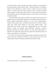Valstybės tarnybos samprata, pagrindiniai principai 16 puslapis