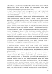 Valstybės tarnybos samprata, pagrindiniai principai 10 puslapis