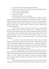 Valstybinio socialinio draudimo sistemos tobulinimo Lietuvoje galimybės 20 puslapis