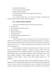 Valstybinio socialinio draudimo sistemos tobulinimo Lietuvoje galimybės 5 puslapis