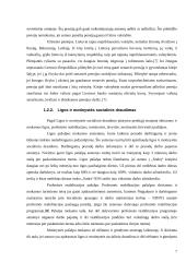 Valstybinio socialinio draudimo sistemos tobulinimo Lietuvoje galimybės 7 puslapis