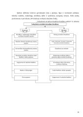 Valstybinio socialinio draudimo sistemos tobulinimo Lietuvoje galimybės 10 puslapis