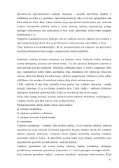 Valstybinio valdymo samprata, pagrindinės kategorijos 11 puslapis