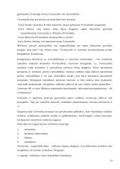 Valstybinio valdymo samprata, pagrindinės kategorijos 16 puslapis