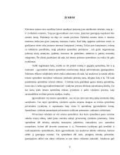 Varžytynių vykdymo problema 2 puslapis