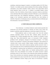 Varžytynių vykdymo problema 13 puslapis