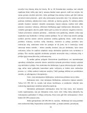 Varžytynių vykdymo problema 14 puslapis