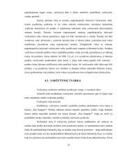 Varžytynių vykdymo problema 19 puslapis