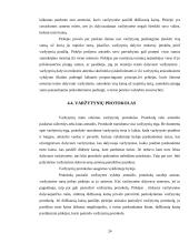 Varžytynių vykdymo problema 20 puslapis