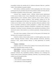 Varžytynių vykdymo problema 3 puslapis