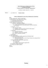 Veiklos kūrimo ir vykdymo organizavimas 2 puslapis