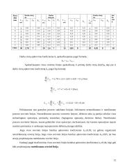 Veiklos kūrimo ir vykdymo organizavimas 12 puslapis