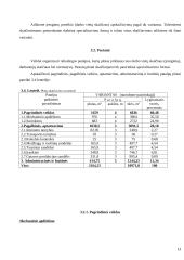 Veiklos kūrimo ir vykdymo organizavimas 13 puslapis