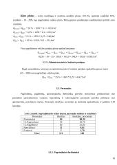 Veiklos kūrimo ir vykdymo organizavimas 16 puslapis