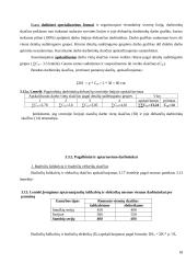 Veiklos kūrimo ir vykdymo organizavimas 18 puslapis