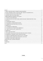 Veiklos kūrimo ir vykdymo organizavimas 3 puslapis