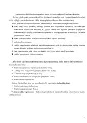 Veiklos kūrimo ir vykdymo organizavimas 4 puslapis