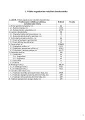 Veiklos kūrimo ir vykdymo organizavimas 5 puslapis