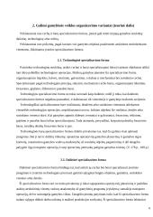 Veiklos kūrimo ir vykdymo organizavimas 6 puslapis