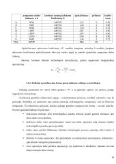 Veiklos kūrimo ir vykdymo organizavimas 10 puslapis