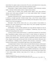 Versijų tikrinimo samprata ir taisyklės 12 puslapis