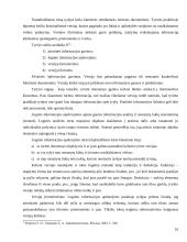 Versijų tikrinimo samprata ir taisyklės 16 puslapis